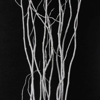 ʪ奦ʥܡ񻺡ʵʡ٥ˡᡡޤȤ䡡оݾʢ