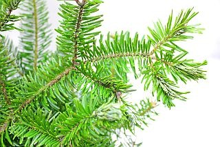 ҥХ륤ܡ񻺡ʵʡޣС饸(΢)ޤȤ䡡оݾʢ