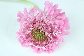 쥯ʡӥ񻺡ʵʡݥˡܡԥ