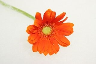 䢡٥顡ܡ񻺡ʵʡ̥˥󥸡եɡޤȤ䡡оݾʢ