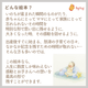 �ڽл�/��������9/30�ޤ�����̵�����ۤۤ顢���������