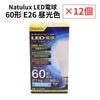 ��12�ĥ��åȡ� Natulux LED�ŵ� 60�� 7.4W ����� HLE-60DK�����۸������� ̩�ķ������б� �ʥ��� Ĺ��̿ 40000���� ��ӥ� �����˥�
