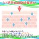 �դ����̥����롪�����륤�������ե��ץ�������������������å��󥹥���󥸥�200ml���å� ���ѿ� ���Ʊ� ���� ����󥸥� ���� ˢ�ѥå� �����󥱥� �������󥰥��� �ҥ����ӷ��˦���ܱ��۹� ���� ���� ���� ����� �ۤ��줤�� ����̵��