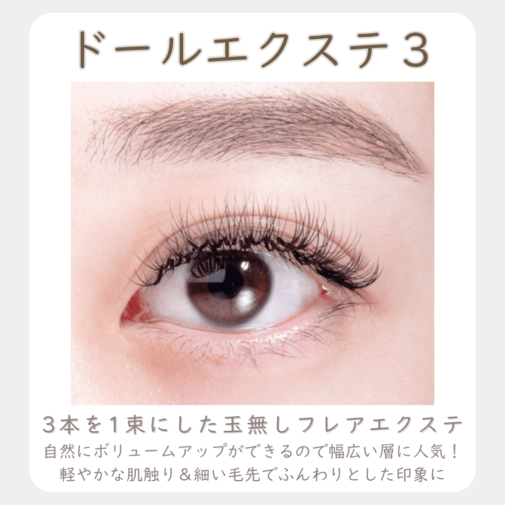 ドール×10箱セット