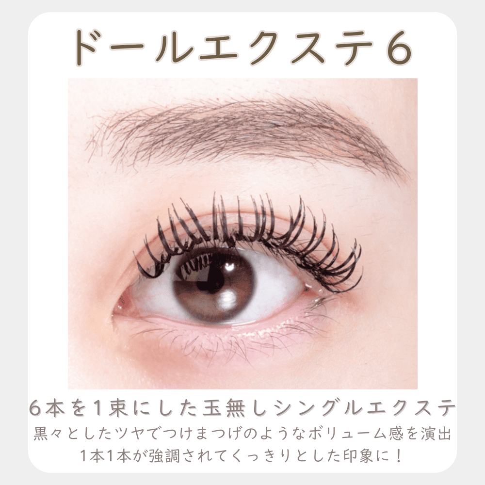 ドール×10箱セット