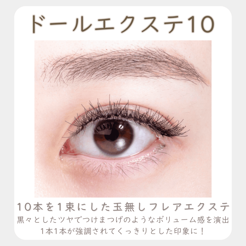 ドール×10箱セット
