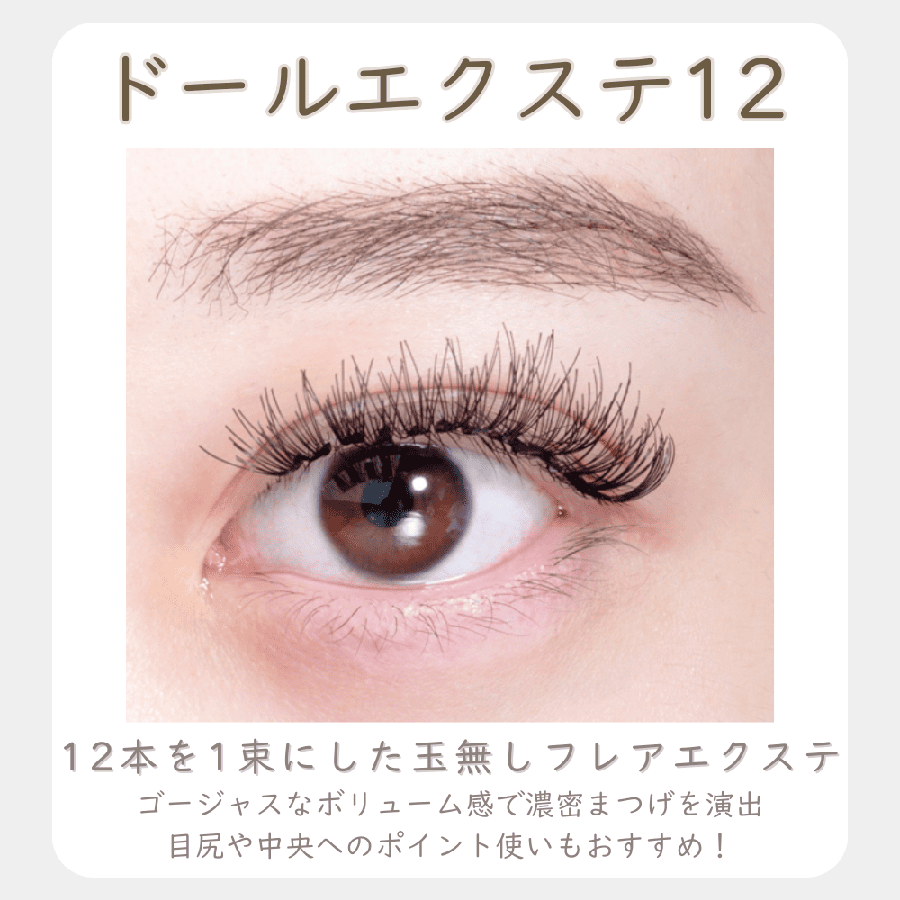 ドール×10箱セット
