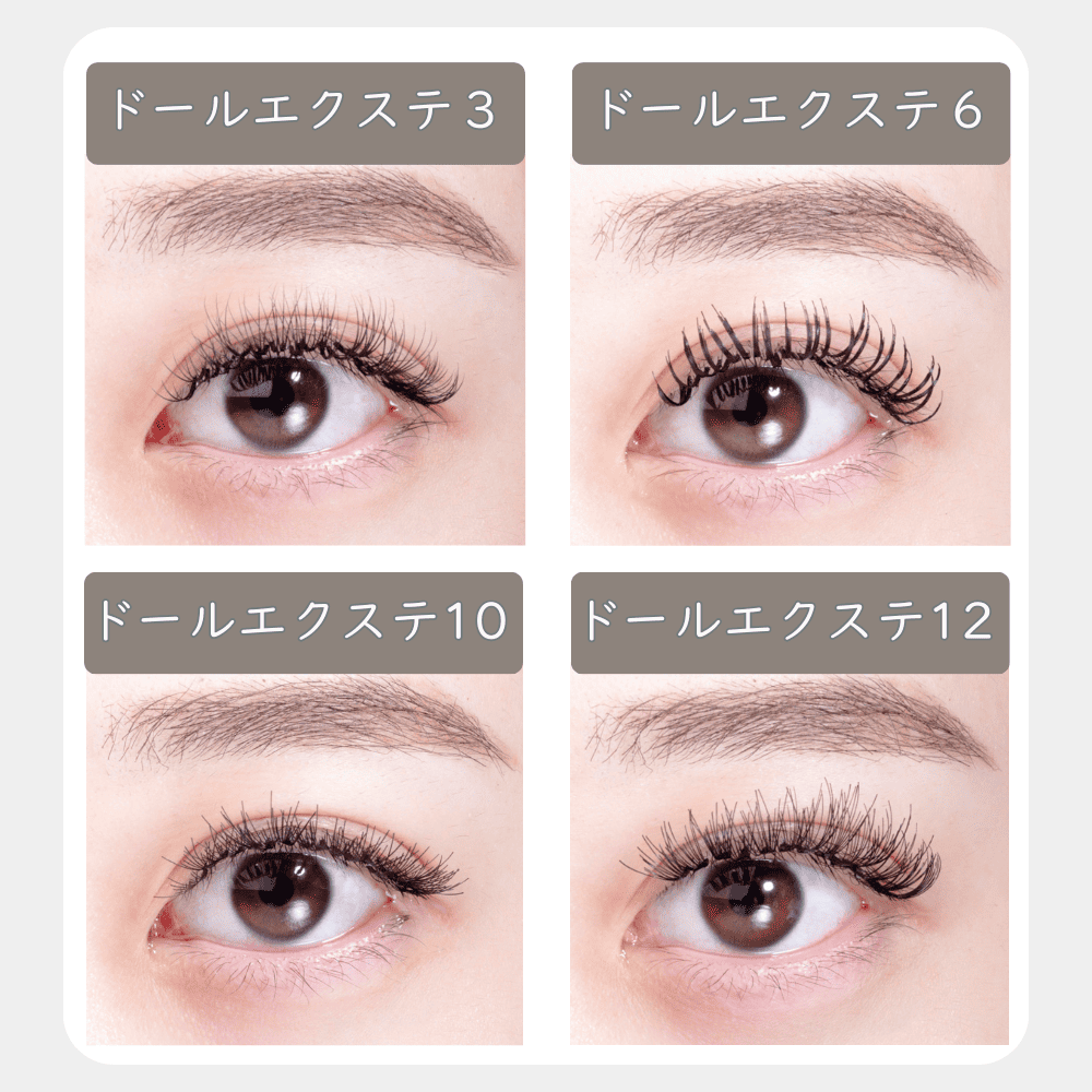 ドール×10箱セット