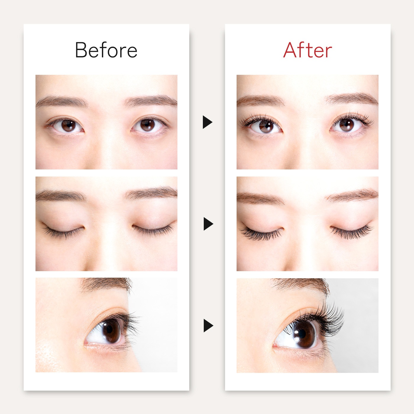 プレミアムフラットラッシュセーブルエクステ12列 Cカール(太さ0.1/0.15/0.2)