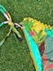 Toque d'Sol 2024 ֥饸ꥢӥ TM01024FLORA