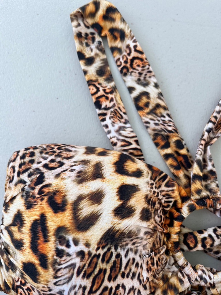 Luli Fama 2024 ֥饸ꥢӥ  L763E23-L763N50 S