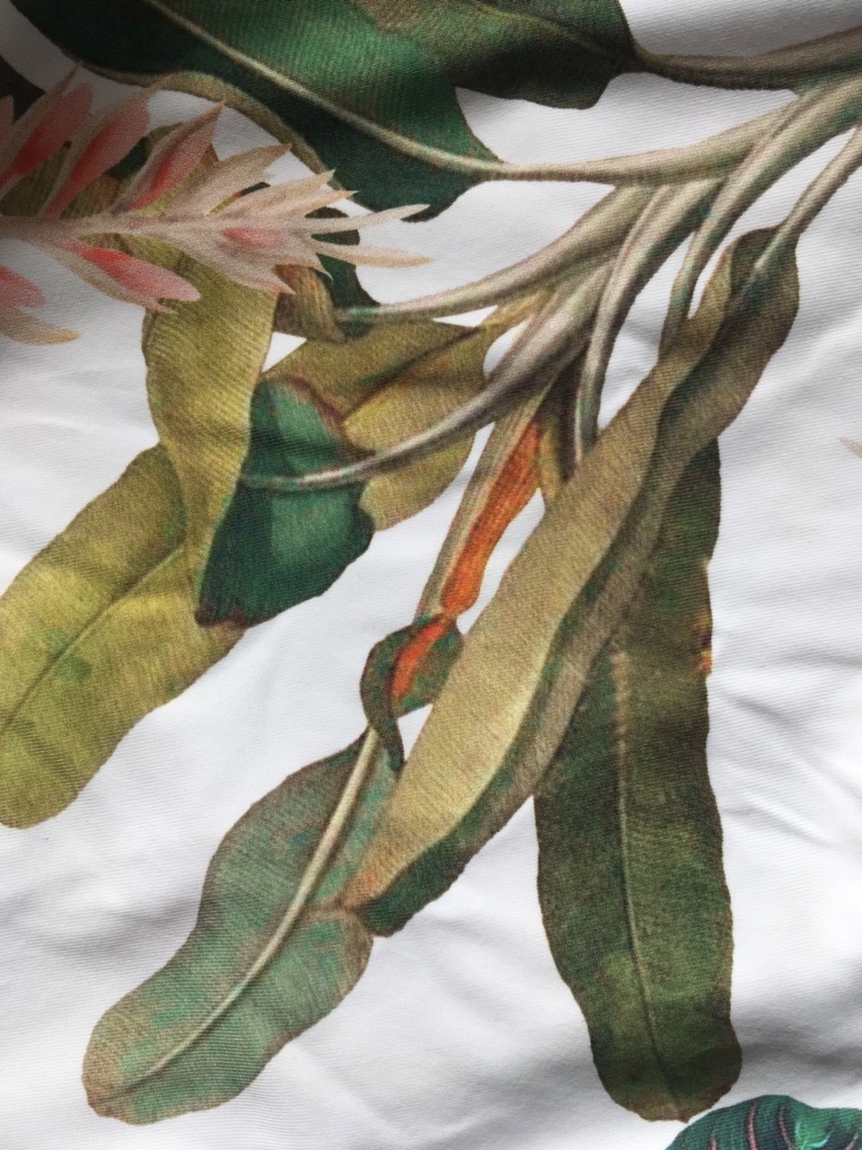 Malai ޥ饤 2020  ԡ Balmy Palm Bondi One Piece