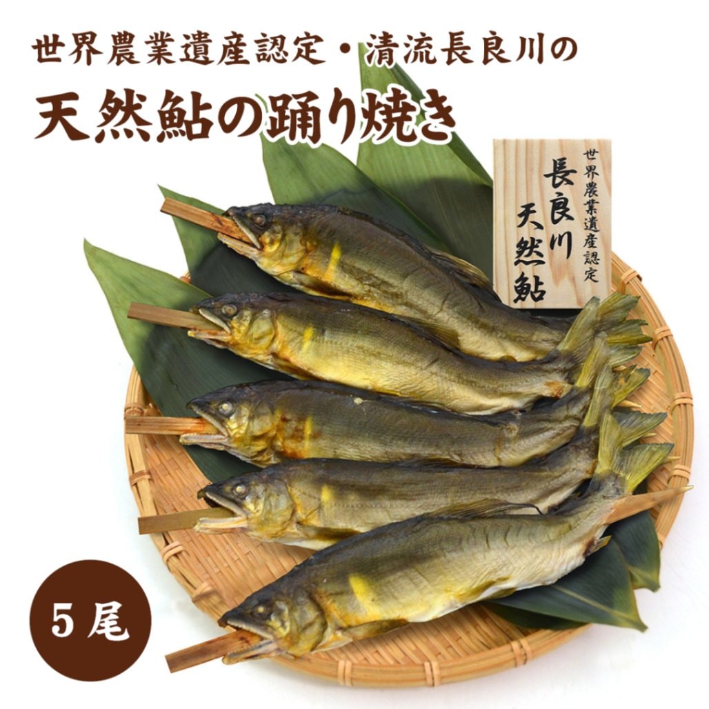 清流長良川　天然鮎の踊り焼き（塩焼き）5尾　御料場エリアの名店「結の舟」から産直