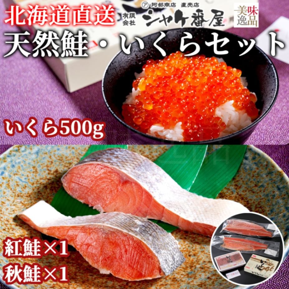 北海道　天然紅鮭・秋鮭フィレー＆いくら白醤油漬け親子セット（冷凍）釧路港シャケ番屋