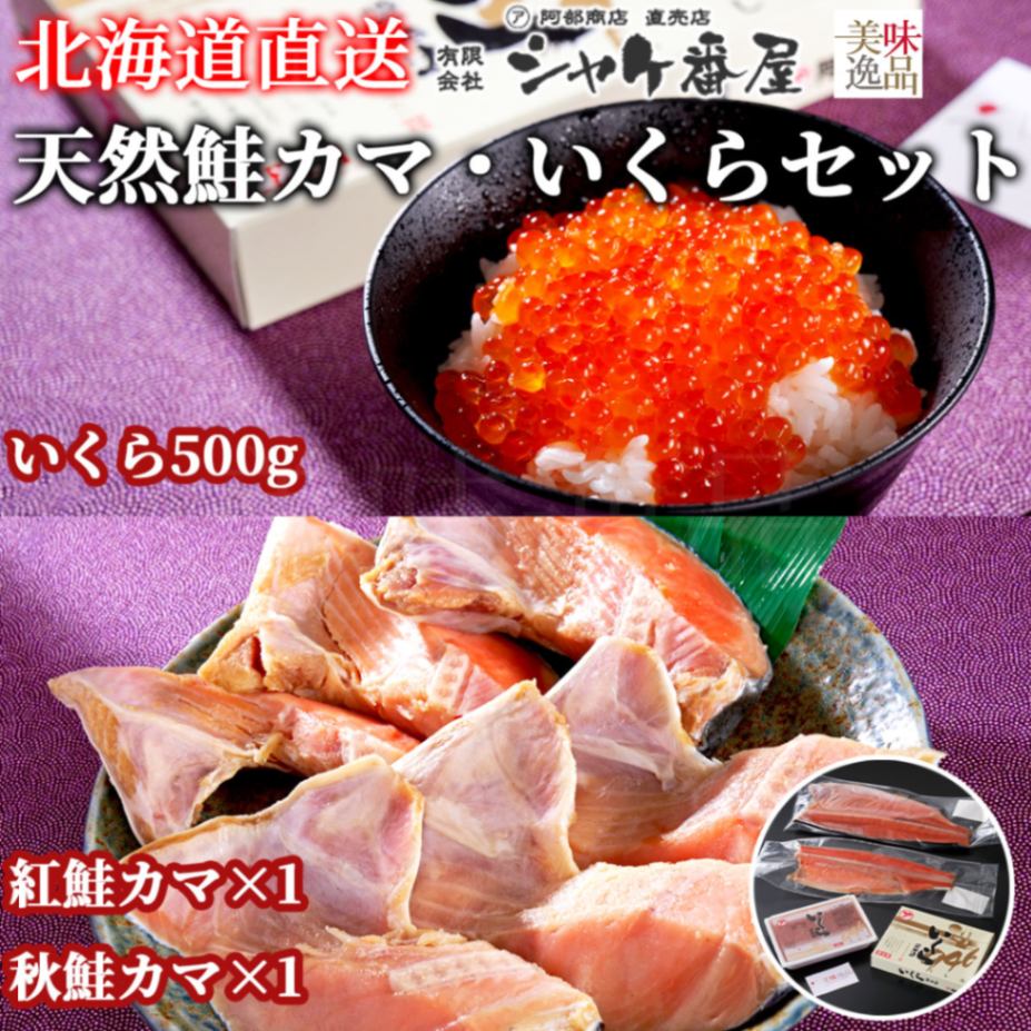 北海道　天然紅鮭・秋鮭カマ＆いくら白醤油漬け親子セット（冷凍）釧路港シャケ番屋