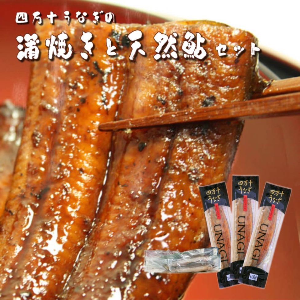 四万十うなぎ蒲焼き110g×3本セット　タレ＆天然鮎2匹付き　高知県四万十から産地直送