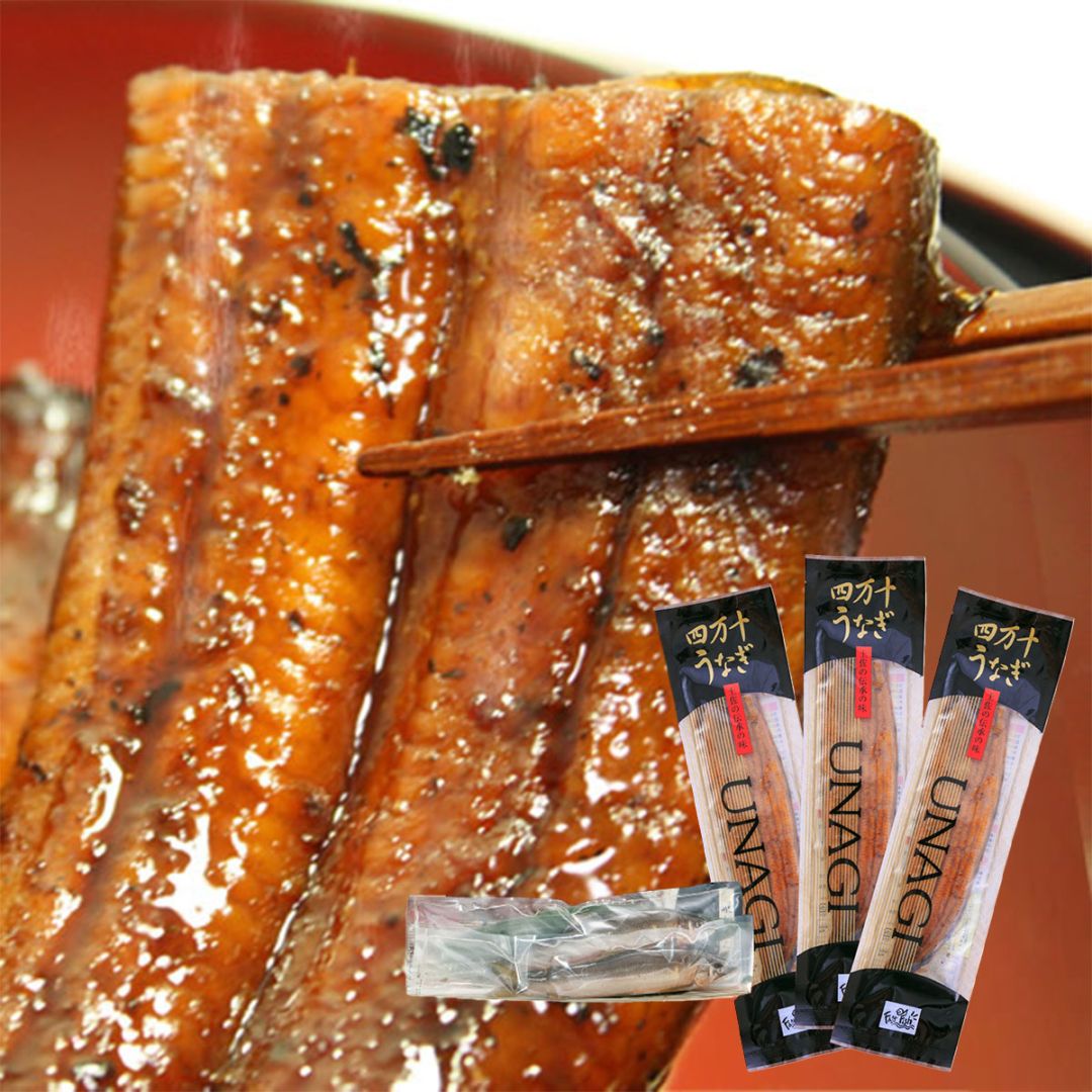 四万十うなぎ蒲焼き110g×3本セット　タレ＆天然鮎2匹付き　高知県四万十から産地直送