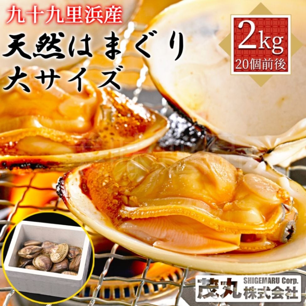 九十九里浜産　天然はまぐり　大サイズ2kg（20個前後）漁師直送　砂抜き済み