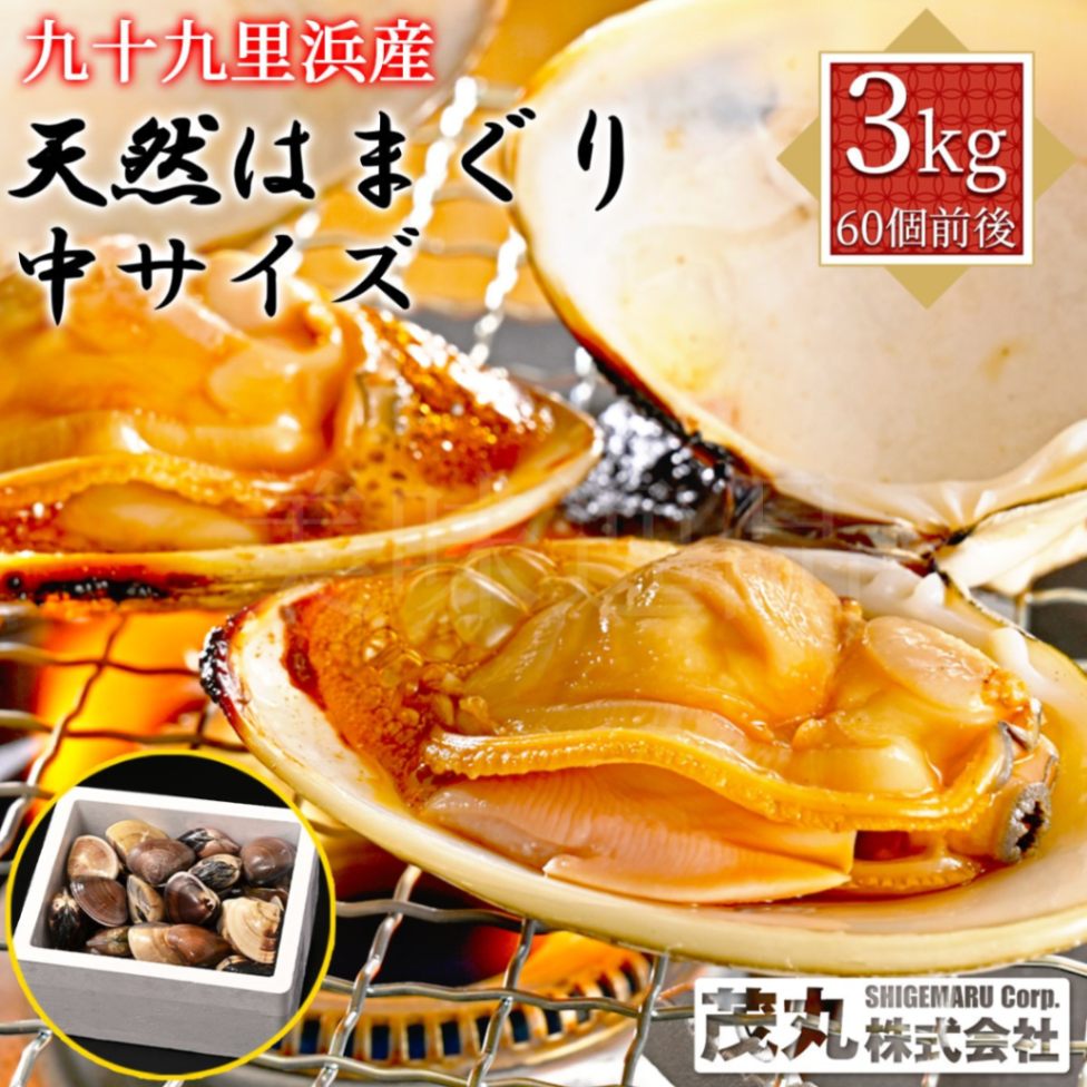 九十九里浜産　天然はまぐり　中サイズ3kg（60個前後）漁師直送　砂抜き済み