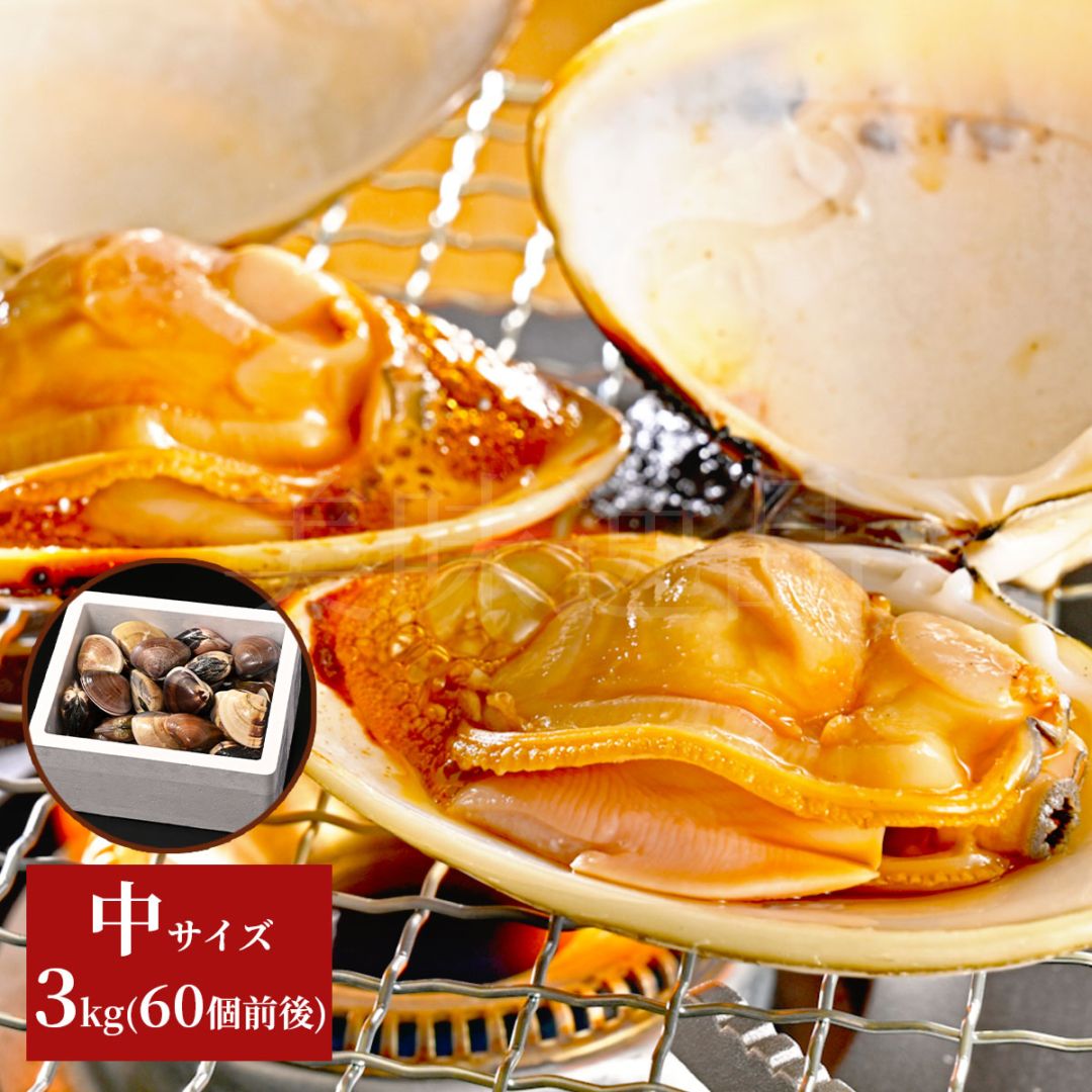 九十九里浜産　天然はまぐり　中サイズ3kg（60個前後）漁師直送　砂抜き済み