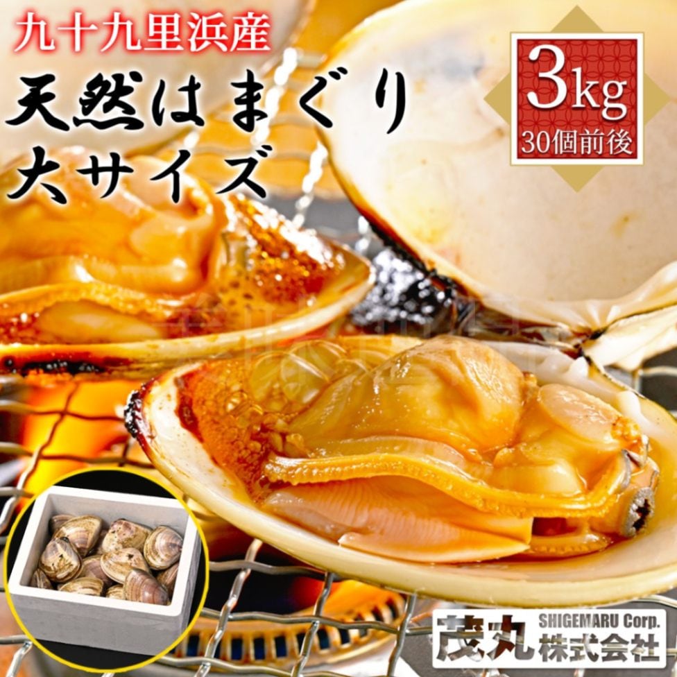 九十九里浜産　天然はまぐり　大サイズ3kg（30個前後）漁師直送　砂抜き済み