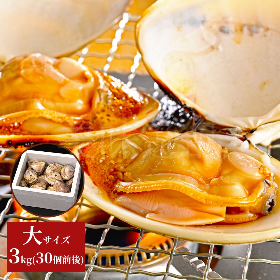 九十九里浜産　天然はまぐり　大サイズ3kg（30個前後）漁師直送　砂抜き済み