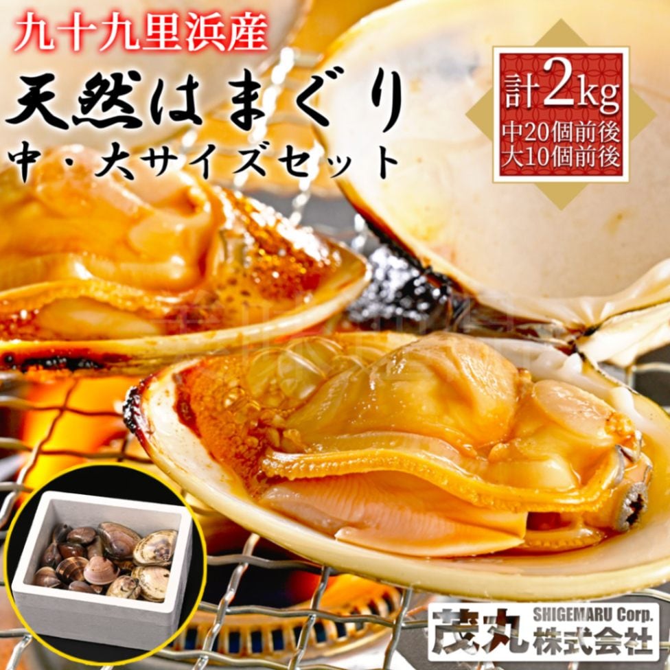 九十九里浜産　天然はまぐり　2kgセット（中サイズ20個前後・大サイズ10個前後）漁師直送　砂抜き済み