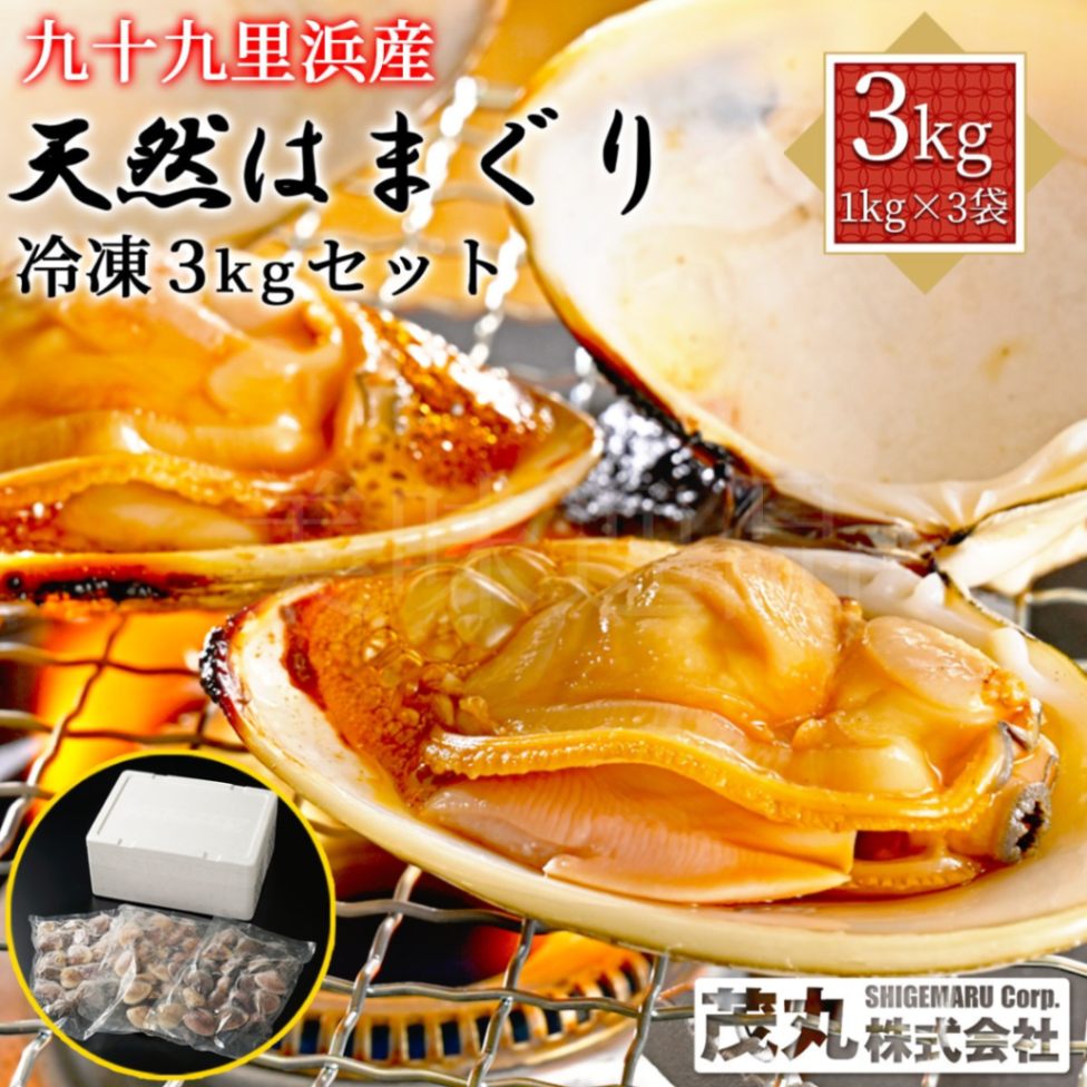 九十九里浜産　冷凍天然はまぐり　お任せサイズ3kgセット（1kg×3袋）漁師直送　砂抜き済み