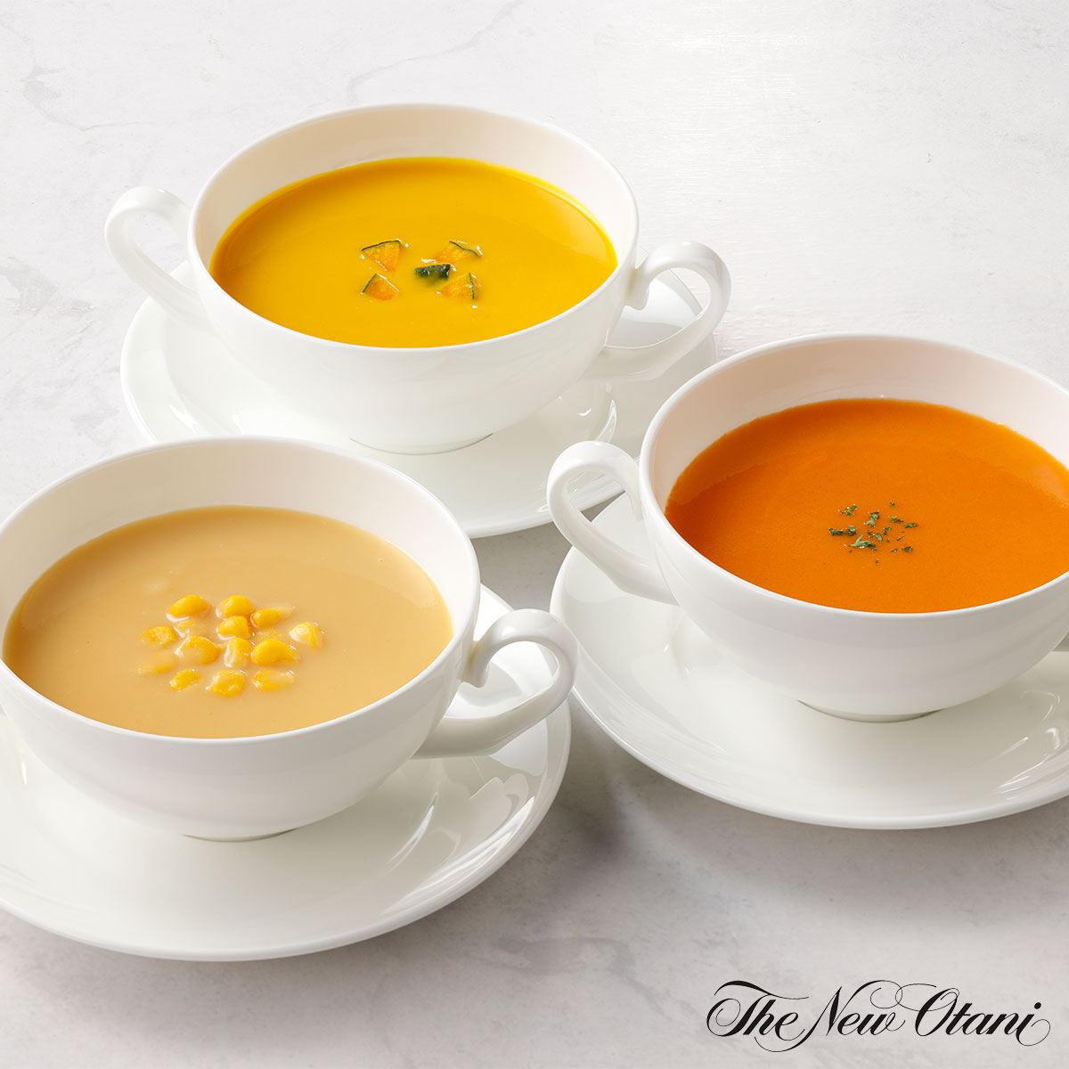 ホテルニューオータニ　レトルトスープセット（3種6箱入）　老舗ホテルシェフ監修の逸品