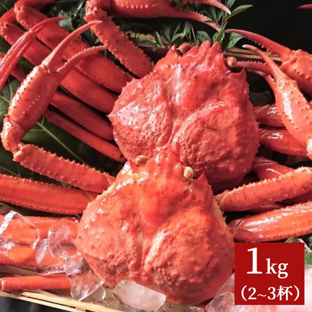 鳥取県産　浜茹で紅ズワイガニ　約1kg（2～3杯）※お届け日指定不可