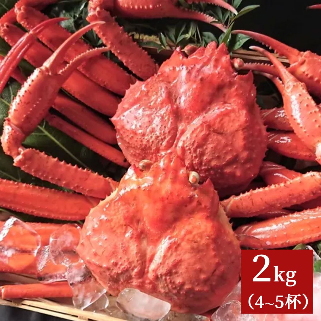 鳥取県産　浜茹で紅ズワイガニ　約2kg（4～5杯）※お届け日指定不可