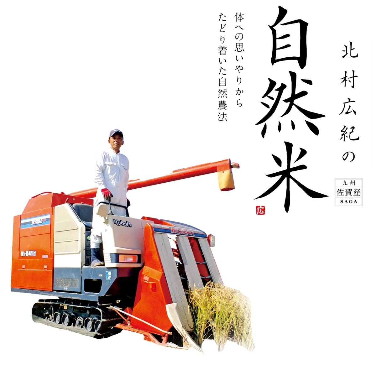 ［白米・玄米選択可］自然米コシヒカリ「神の力」1kg　桐箱・風呂敷包み（鶴の祝）無肥料・無農薬