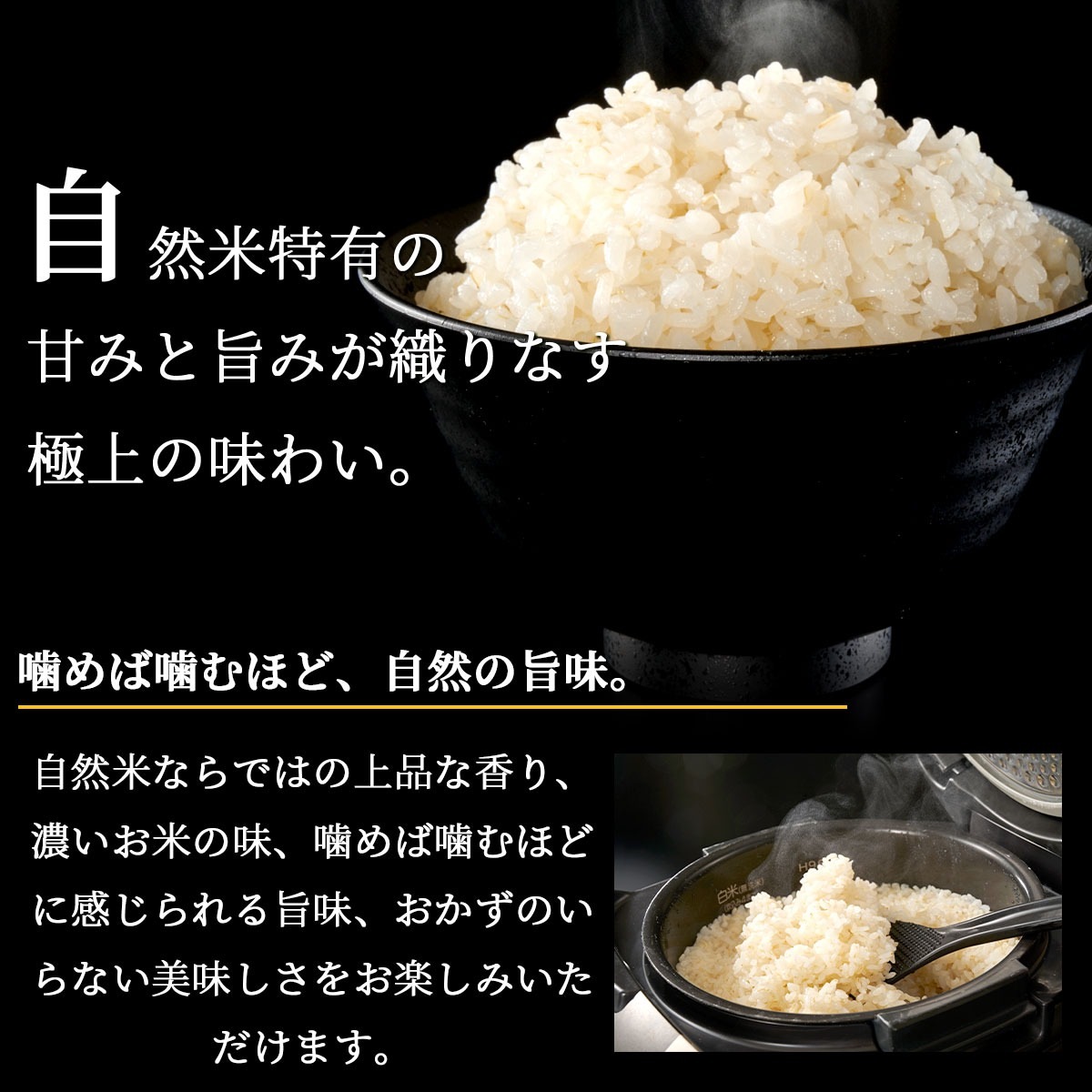 ［白米・玄米選択可］自然米コシヒカリ「神の力」1kg　桐箱・風呂敷包み（鶴の祝）無肥料・無農薬