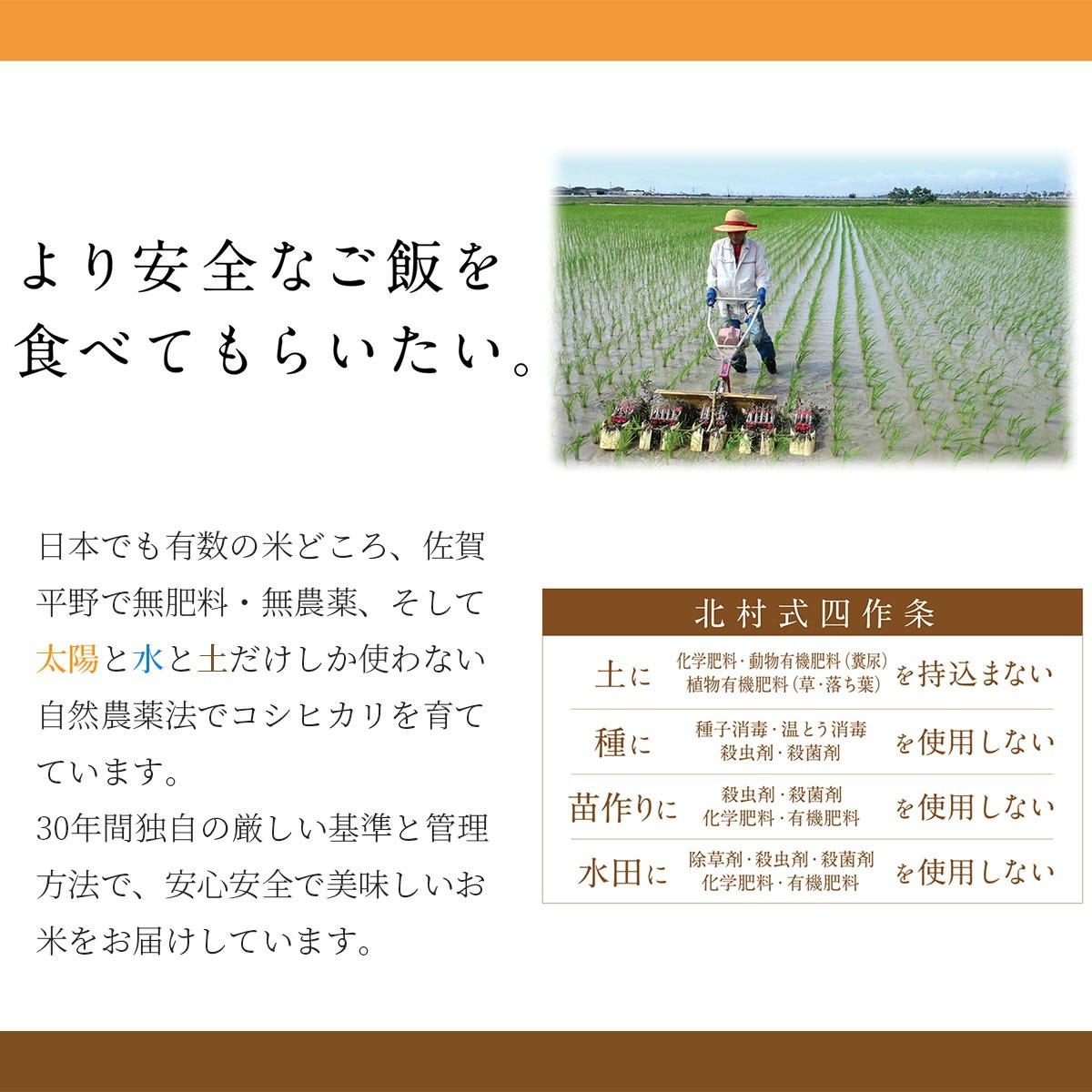 ［白米・玄米選択可］自然米コシヒカリ「神の力」1kg　無肥料・無農薬