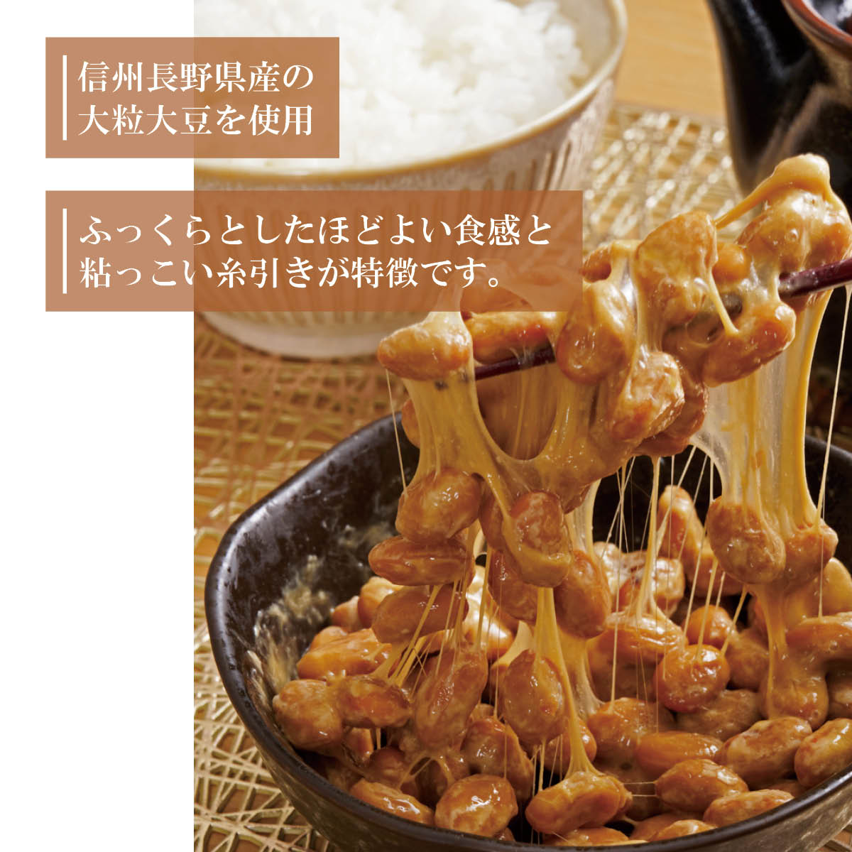 大粒信州大豆100% 川中島納豆（90g）10パック 大粒信州大豆100% 川中島