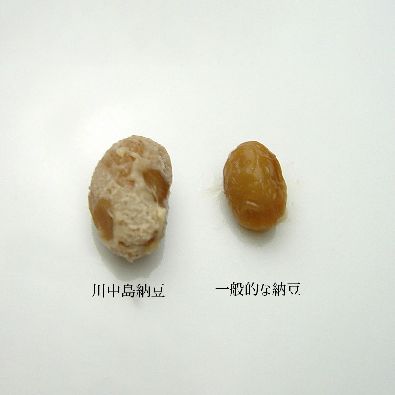 大粒信州大豆100%　川中島納豆（90g）10パック　農林水産大臣賞2度の受賞実績
