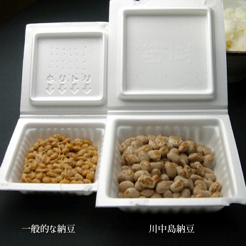 大粒信州大豆100%　川中島納豆（90g）10パック　農林水産大臣賞2度の受賞実績