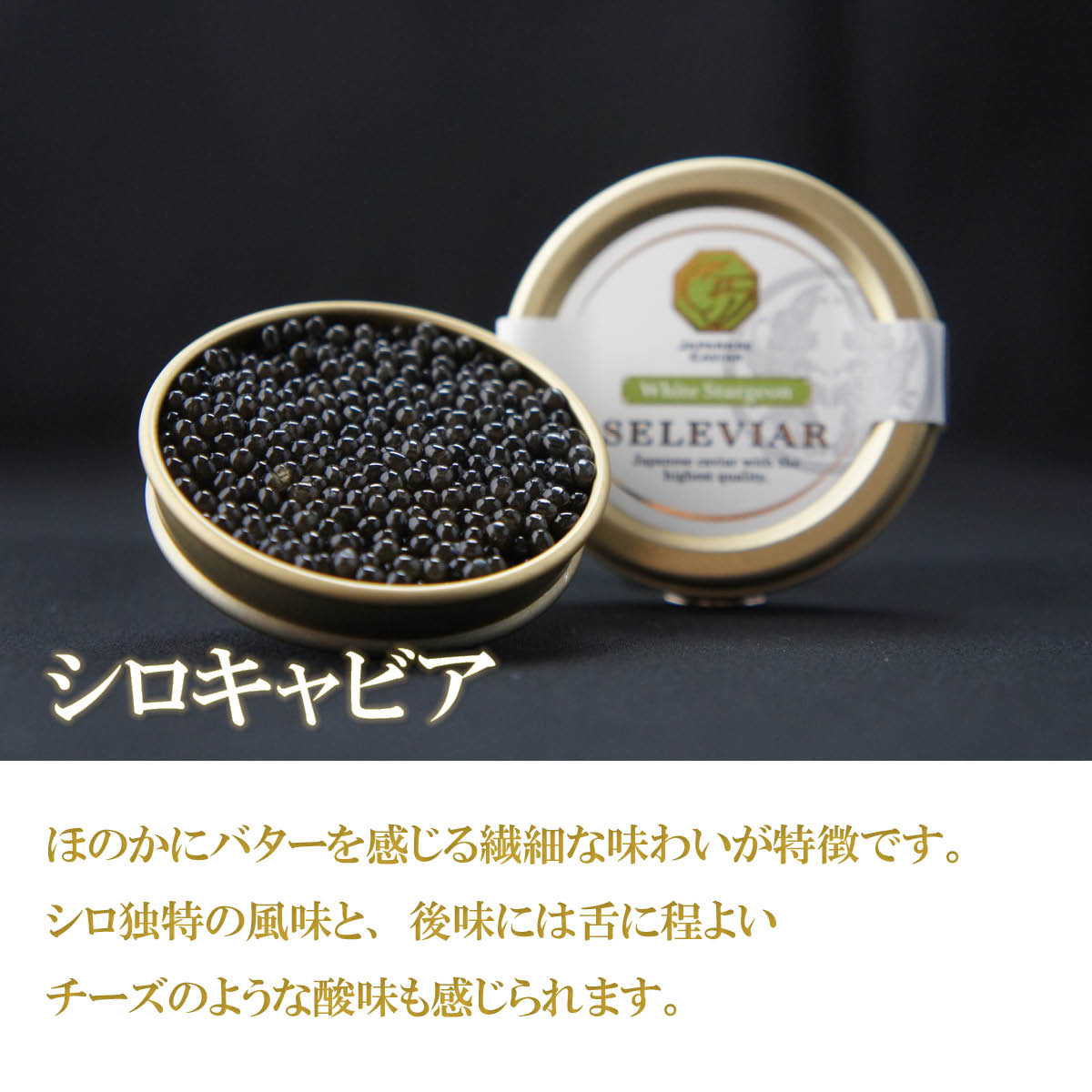 ふるさと納税 椎葉村 HEIKE CAVIAR 10g フレッシュキャビア 訳ありHEIKE CAVIAR 10ｇ 宮崎県 椎葉村 チョウザメ キャビア
