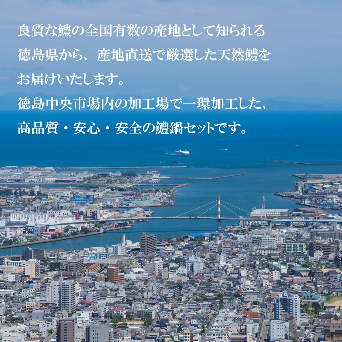 徳島県産天然鱧の鱧（ハモ）の味噌漬け【冷凍】