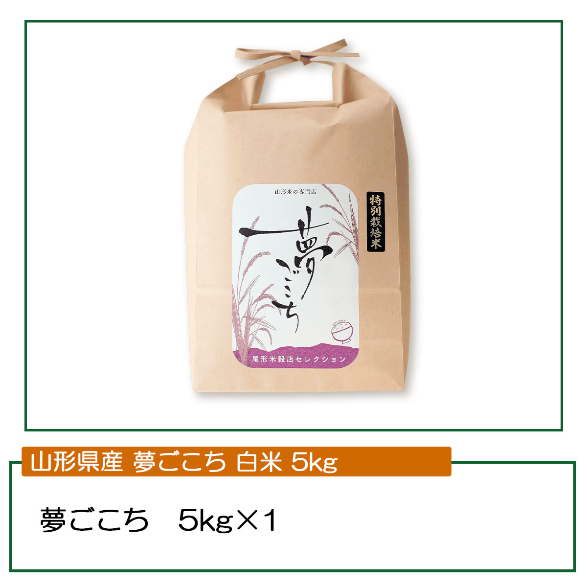 山形県産のお米 夢ごこち(5kg)令和7年産 大江町産特別栽培米