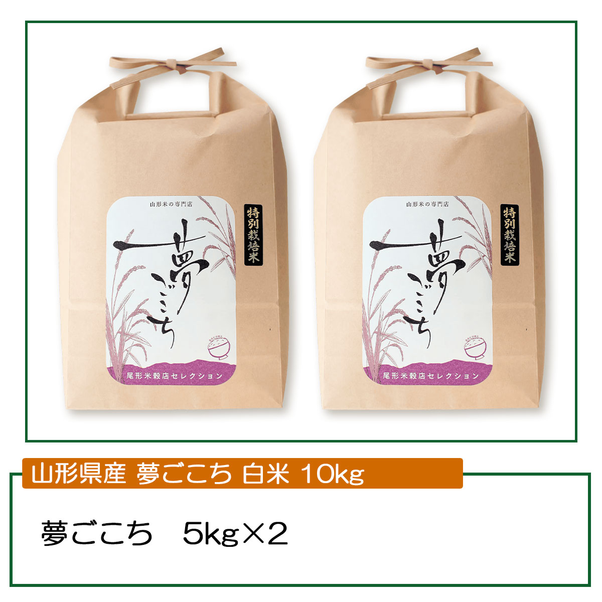 山形県産のお米　夢ごこち（10kg）令和7年産　大江町産特別栽培米