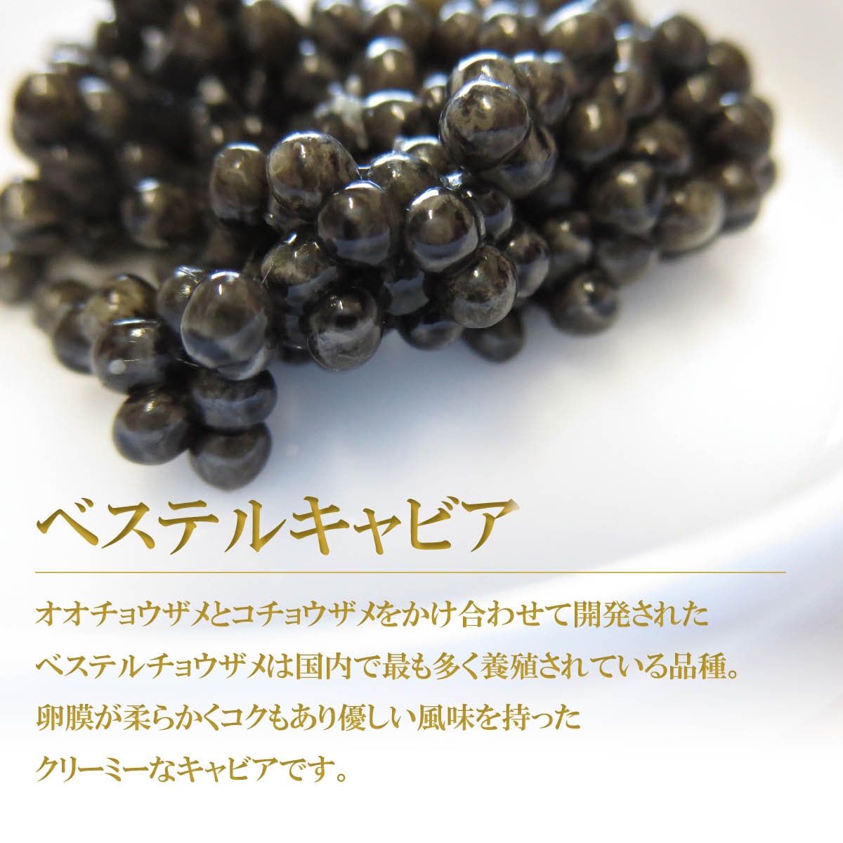 国産キャビア ベステルキャビア25g 島根県産フレッシュキャビア｜美味