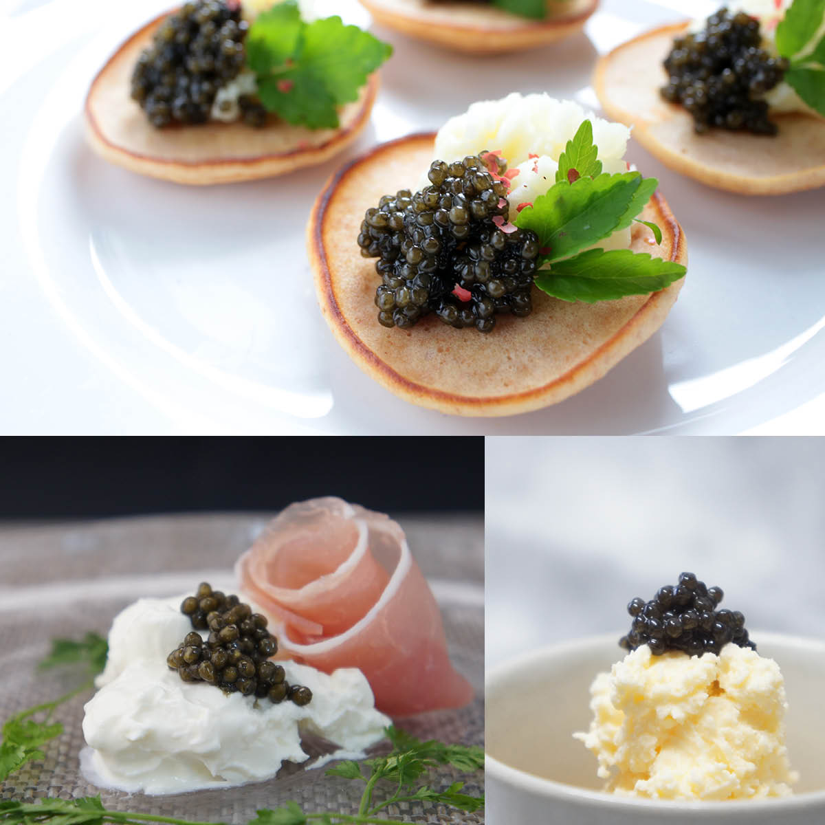 国産キャビア ベステルキャビア25g 島根県産フレッシュキャビア｜美味