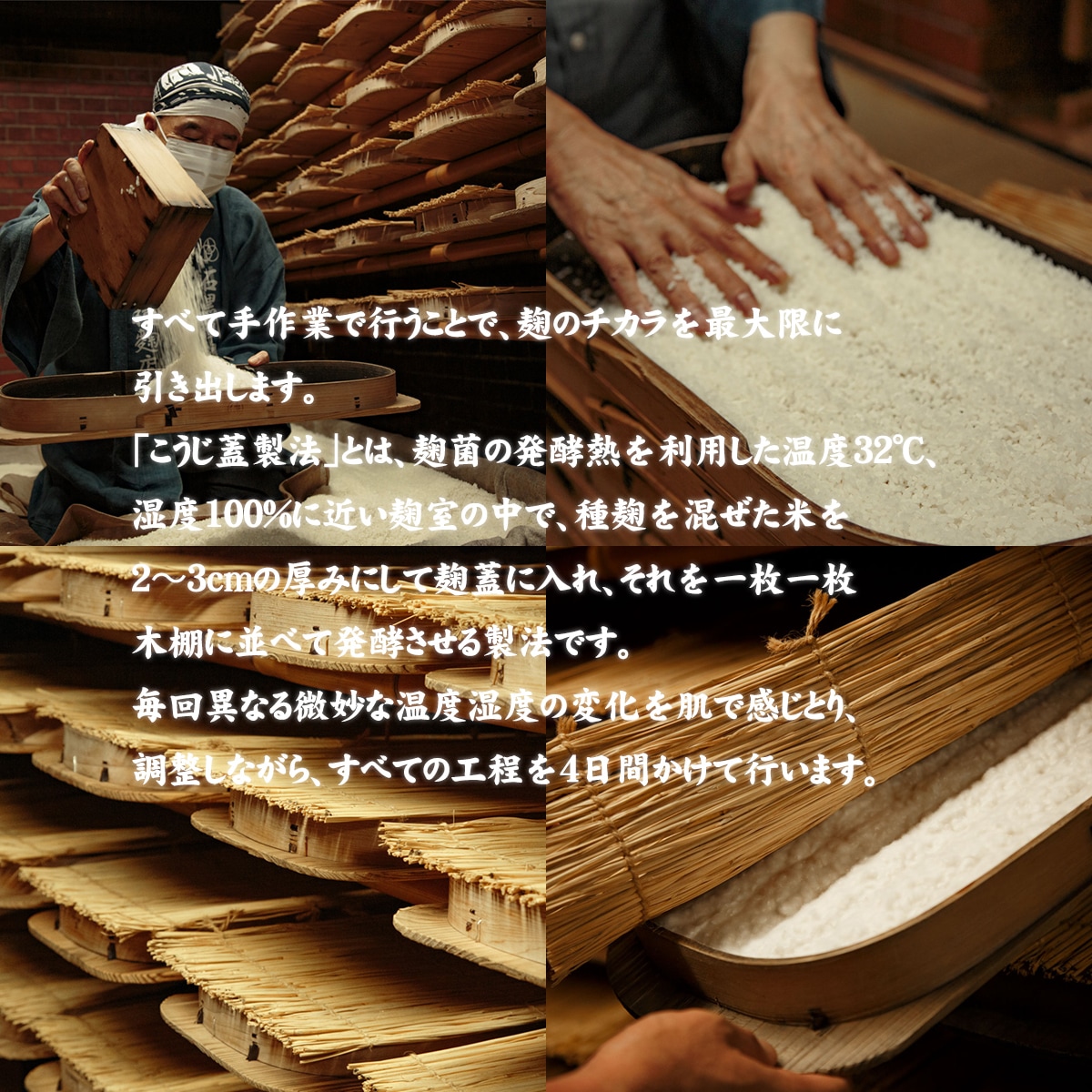 石黒種麹店 生こうじ&生塩こうじ&あま酒&あま酒の素4種セット 創業1895年 北陸唯一の種麹屋(もやし屋)よりお取り寄せする極上の逸品 ※個数の追加購入も可能