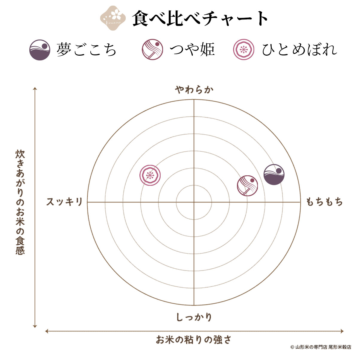 山形県産のお米　ギフトセットこめイロ　夢ごこち・つや姫・ひとめぼれ　3種食べ比べ　令和7年度産