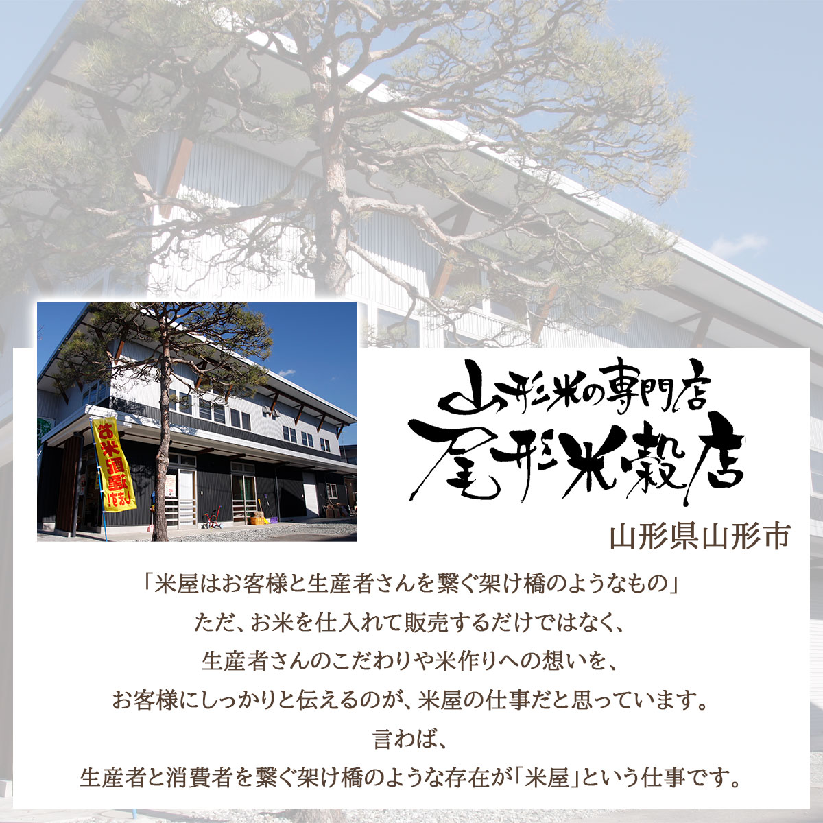 山形県産のお米　ギフトセットこめイロ　夢ごこち・つや姫・ひとめぼれ　3種食べ比べ　令和7年度産