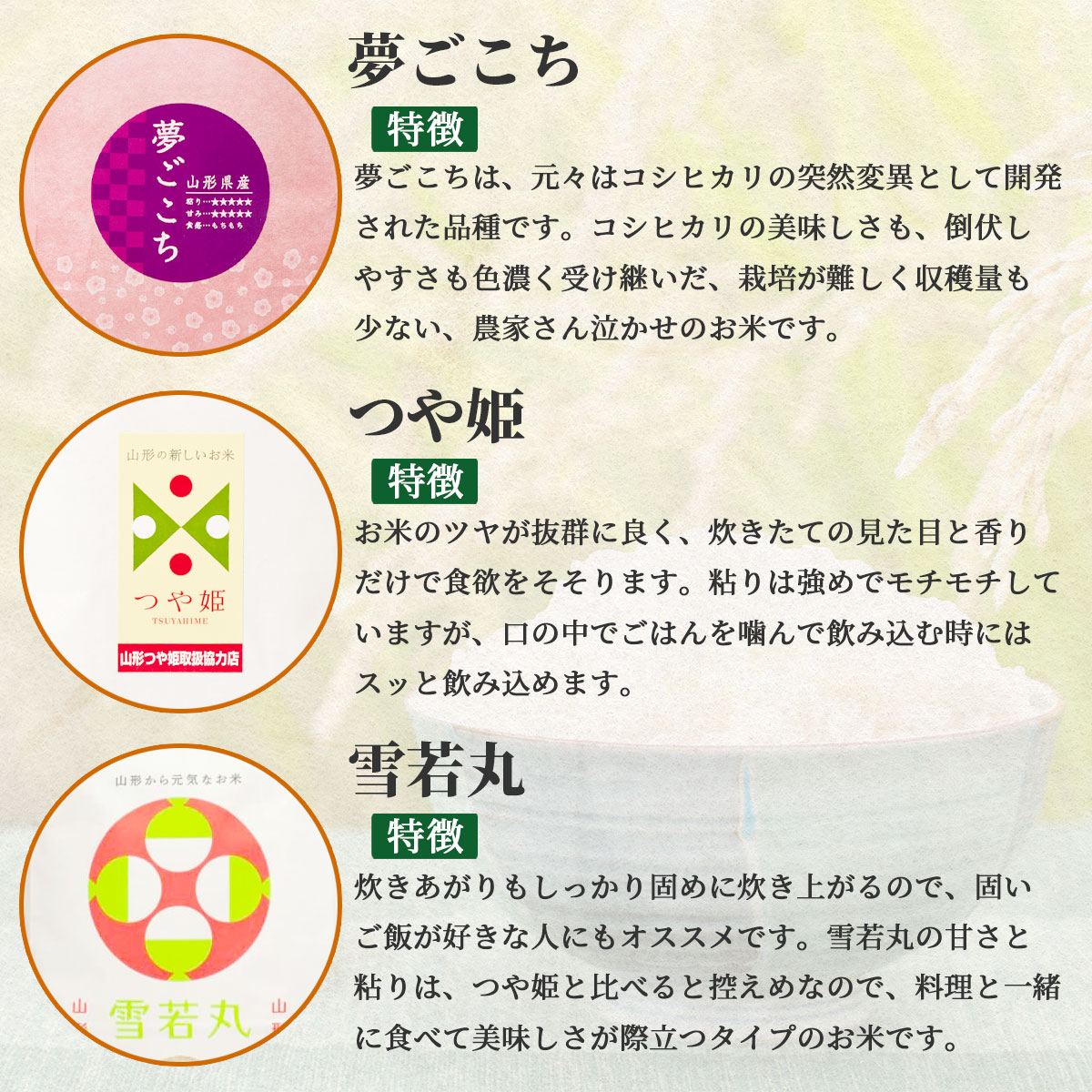 山形県産のお米　ギフトセットこめイロ　夢ごこち・つや姫・雪若丸　3種食べ比べ　令和7年度産