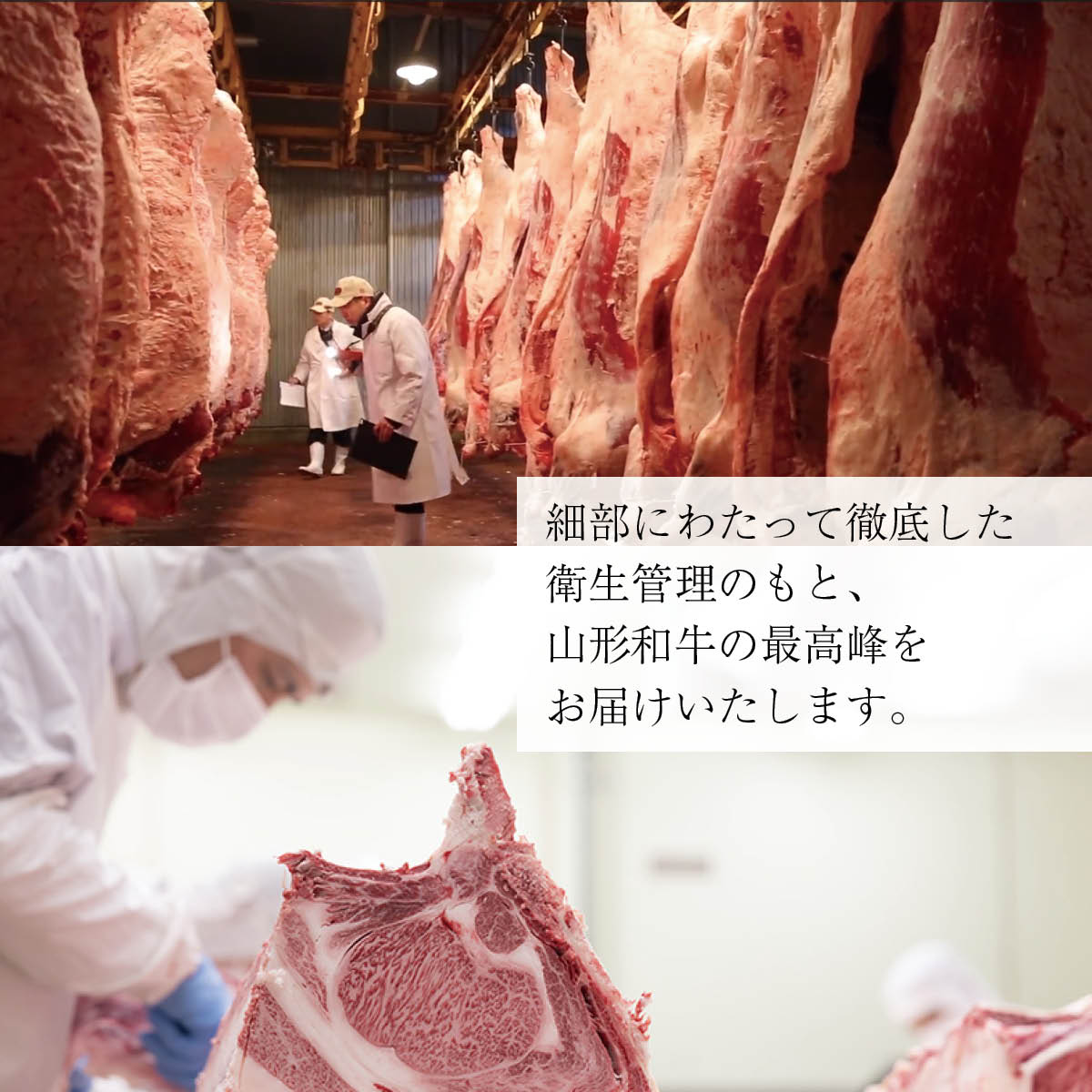 山形牛A5ランク しゃぶしゃぶ用800g(サーロイン/リブロース)