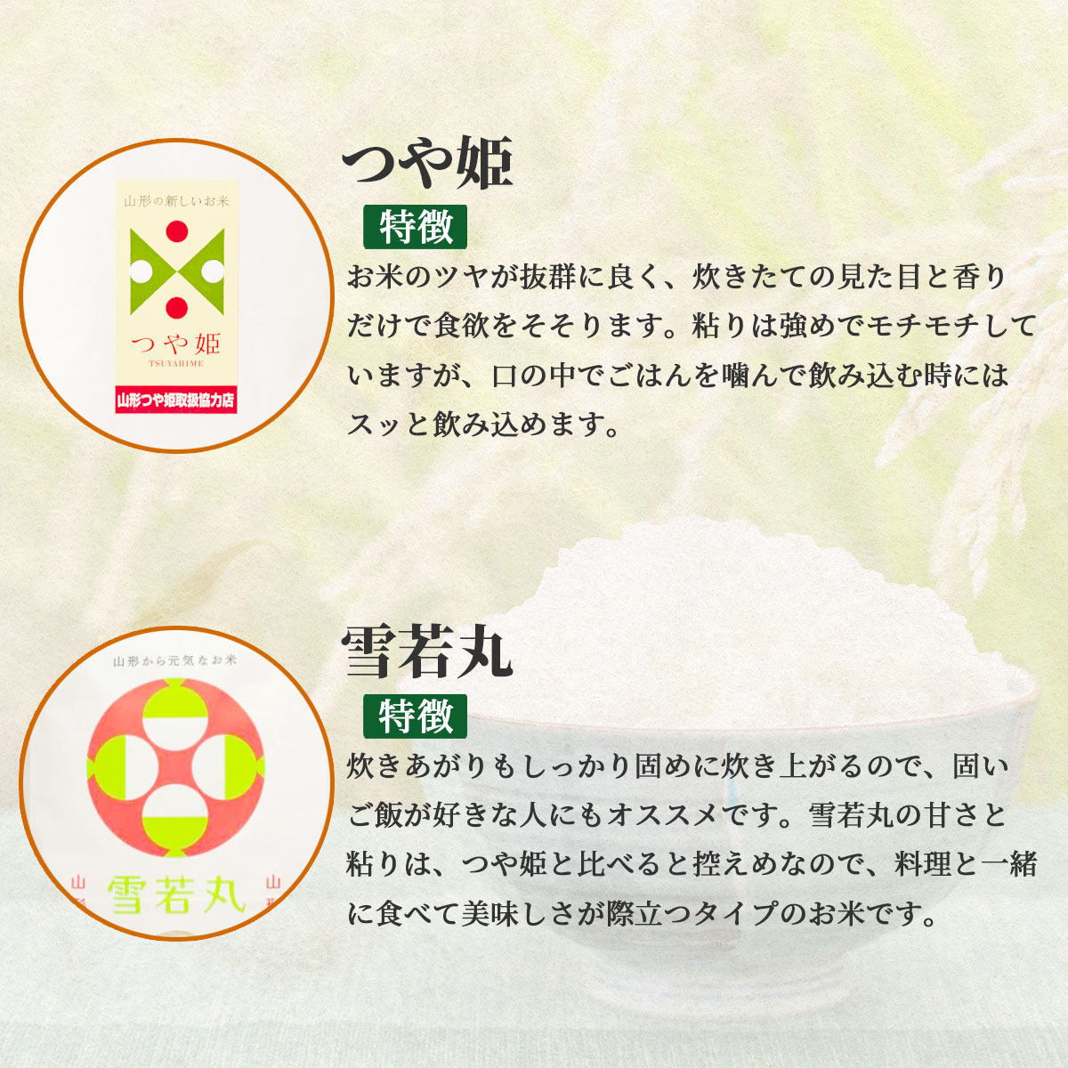 山形県産のお米 ギフトセットこめイロ つや姫・雪若丸 2種食べ比べ 令 