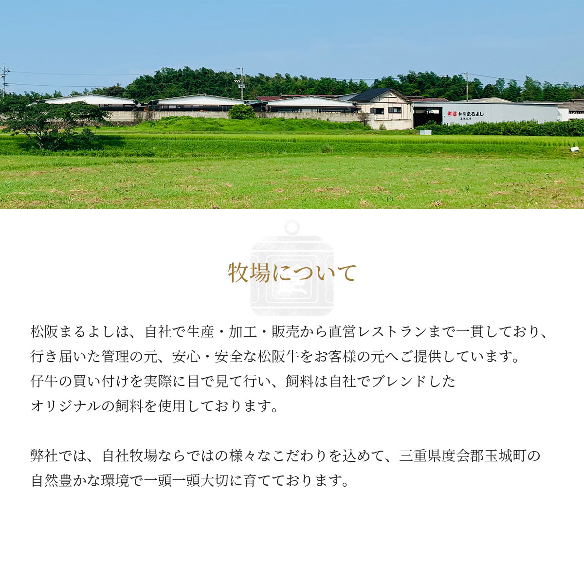 松阪牛 A5ランク すき焼き用(肩・モモ)300g 冷凍【松阪まるよし直送】